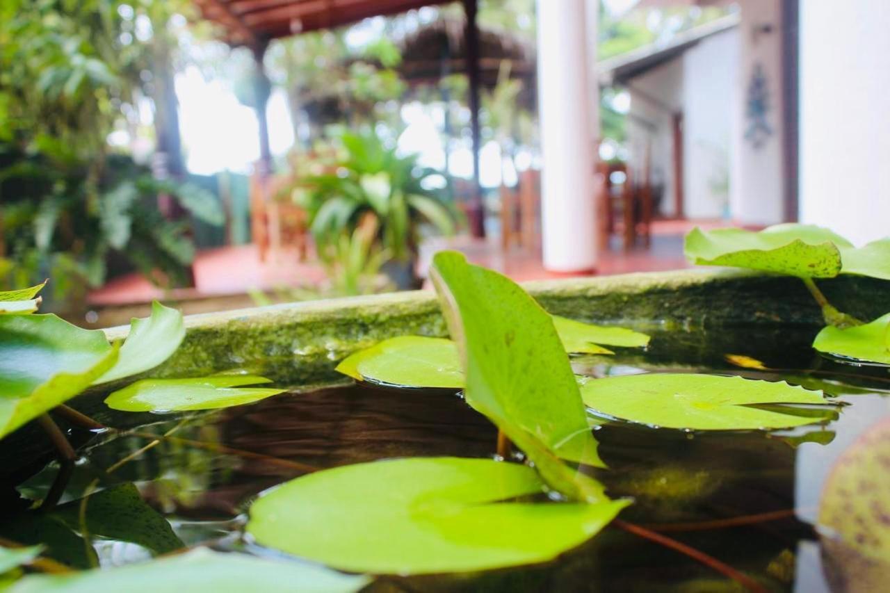 Sunrise Guest House & Restaurant Tangalle Buitenkant foto