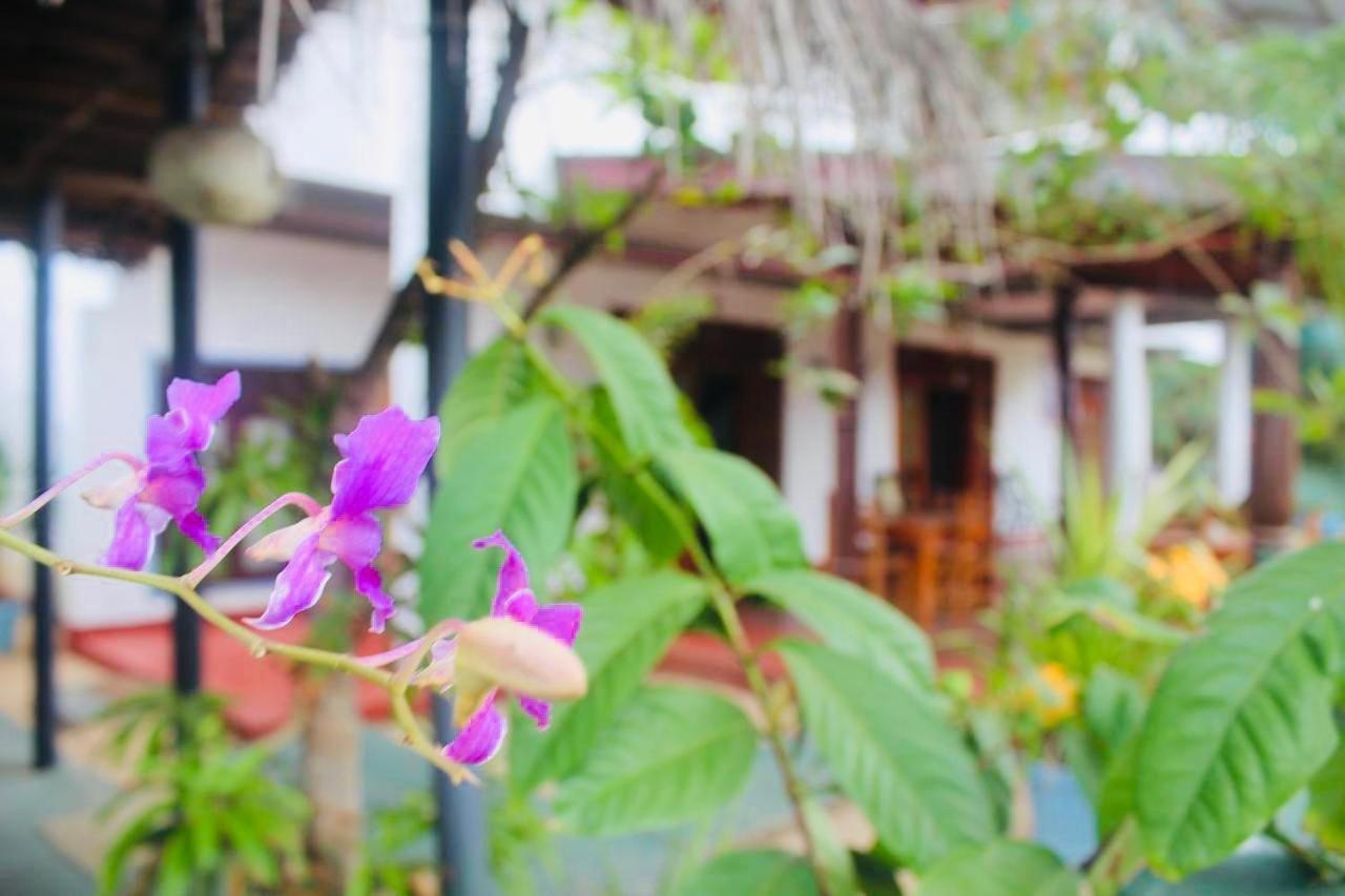 Sunrise Guest House & Restaurant Tangalle Buitenkant foto