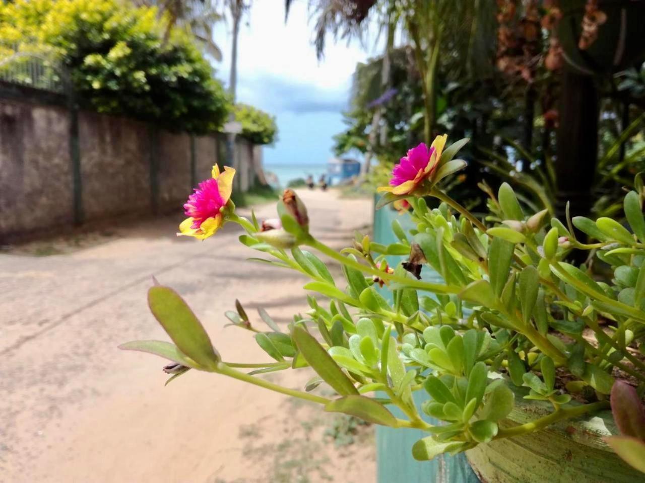Sunrise Guest House & Restaurant Tangalle Buitenkant foto